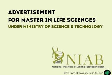 Apply Online for post of Project Associate at NIAB