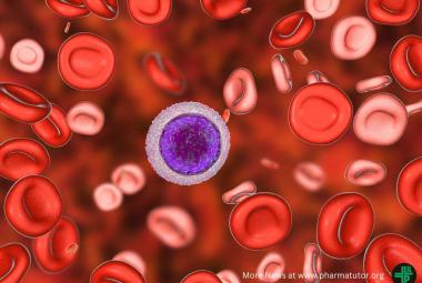 Fighting leukaemia by targeting its stem cells