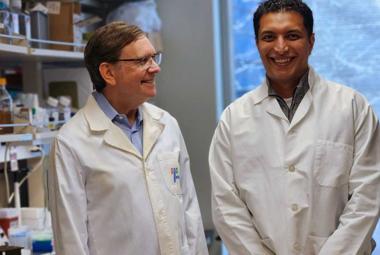 New gene therapy for muscular dystrophy offers hope