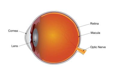 Supplements slow disease progression during late stage of dry age-related macular degeneration