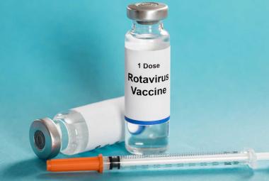 Gut Bacteria Composition Influences Rotavirus Vaccine Efficacy