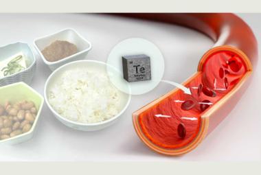 High blood pressure associated with environmental contamination by tellurium