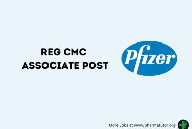 Work as Reg CMC Associate at Pfizer