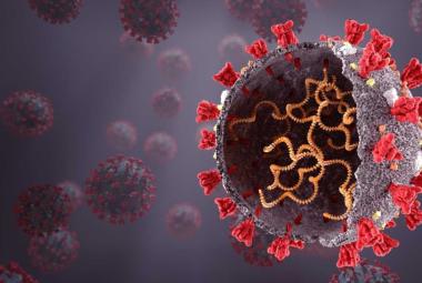 Antiviral-Resistant Variants of SARS-CoV-2 Can Emerge in Immunocompromised People