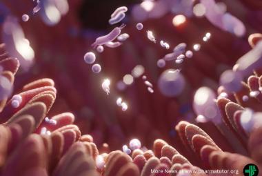 Natural probiotic discovered in UK newborns' microbiomes