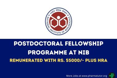 Postdoctoral Fellowship Programme at NIB