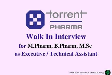 Work as Executive, Technical Assistant at Torrent Pharma