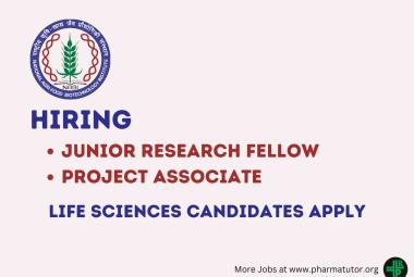 NABI requires Junior Research Fellow, Project Associate