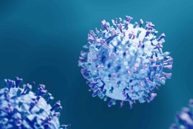 RSV Vaccines Effective, But More People Need to Get Them