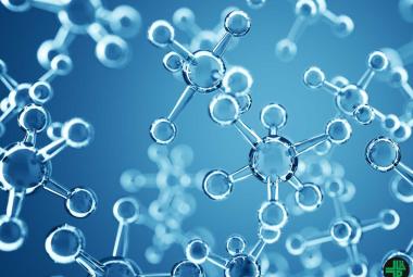 Drug research: decoding the structure of nano gene ferries