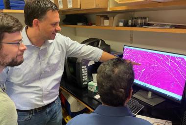 New Discovery Enables Gene Therapy for Muscular Dystrophies, Other Disorders