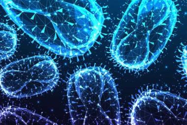 Optical Biosensor Rapidly Detects Monkeypox Virus