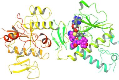 A new class of antivirals could help prevent future pandemics
