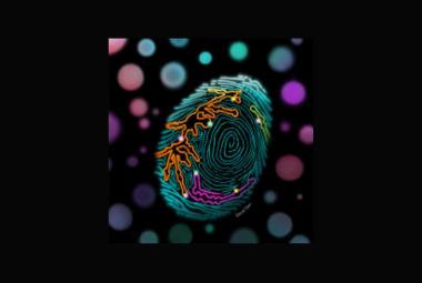 Cancer fingerprint can improve early detection