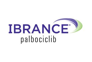 IBRANCE® in combination with Standard-of-Care therapies extends survival by over 15 months