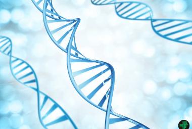 A major advance in biology combines DNA and RNA and could revolutionise cancer treatments