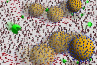 Can DNA-nanoparticle motors get up to speed with motor proteins?