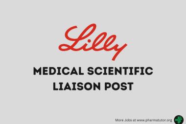 Work as Medical Scientific Liaison at Lilly