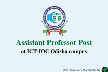 Applications are invited for post Assistant Professor at ICT-IOC Odisha off-campus