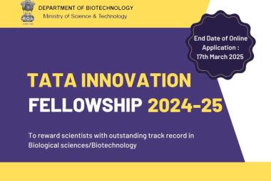 Tata Innovation Fellowship