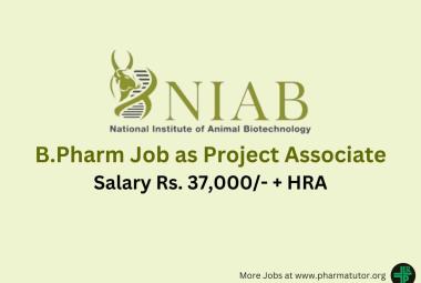 Opportunity for B.Pharm as Project Associate at National Institute of Animal Biotechnology