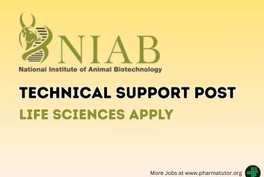 Apply Online for Technical Support post at NIAB