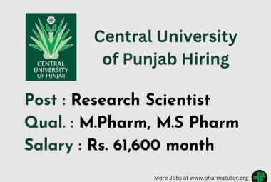 Central University of Punjab Hiring Research Scientist