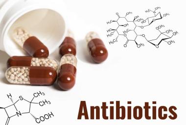 New Hope Against Superbugs : Promising Antibiotic Candidate Discovered