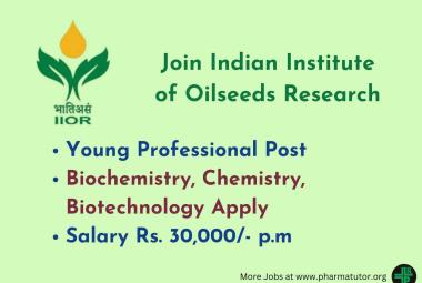 Vacancy for Young Professional at Indian Institute of Oilseeds Research