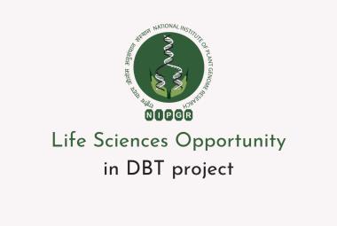 Life Sciences Opportunity in DBT project at NIPGR