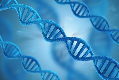 New Mechanism Linking Inflammation to Neurodegeneration Identified in Multiple Sclerosis