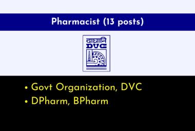Openings for Pharmacists at Government Organization, DVC