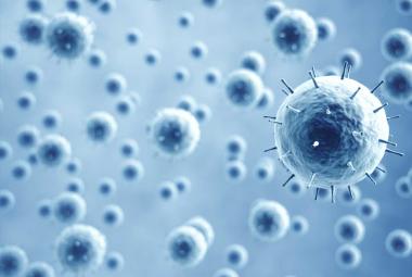 Researchers identify new antibodies against current and future coronaviruses