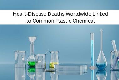 Heart‑Disease Deaths Worldwide Linked to Common Plastic Chemical