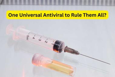 One Universal Antiviral to Rule Them All?