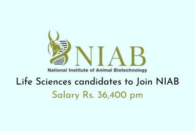 Opportunity for Life Sciences candidates to Join NIAB