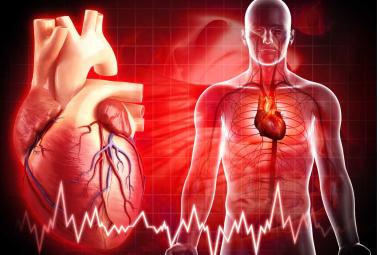 Systemically injectable therapy could prevent heart failure after a heart attack