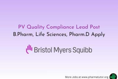 Work as PV Quality Compliance Lead at Bristol Myers Squibb