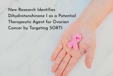 New Research Identifies Dihydrotanshinone I as a Potential Therapeutic Agent for Ovarian Cancer by Targeting SORT1
