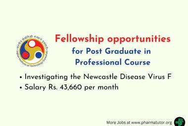 Applications are invited for Fellowship at Indian Institute of Technology