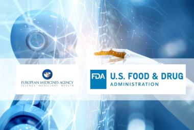 FDA and EU unveil unified principles to guide AI’s role in Drug Discovery and Development