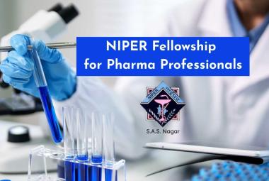 Fellowship Opening for Pharma Professionals at NIPER