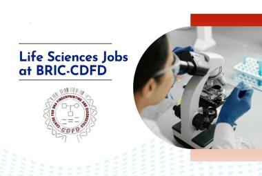 Life Sciences Jobs at BRIC-CDFD