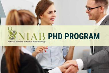 NIAB invites highly motivated and talented students for PhD program