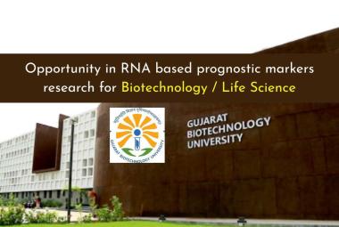 Research Opportunity in RNA-Based Prognostic Markers at GBU for Life Sciences and Biotechnology