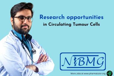 Research opportunities in Circulating Tumour Cells at NIBMG