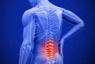 Blocking pain at the source : Hormone therapy rewires nerve signals in aging spines