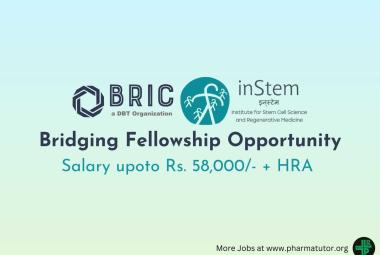 Bridging Fellowship Opportunity at BRIC-inStem