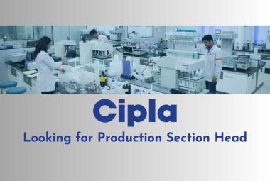Cipla looking for Production Section Head