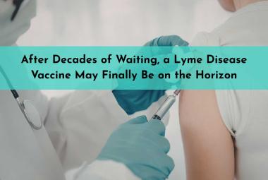 After Decades of Waiting, a Lyme Disease Vaccine May Finally Be on the Horizon